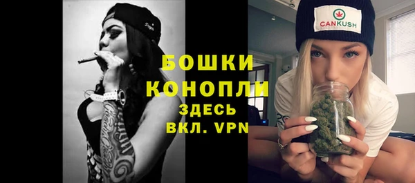 шишки Лиски