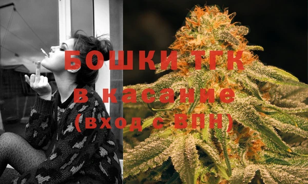 шишки Лиски