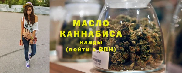 индика Беломорск