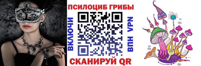 Галлюциногенные грибы Psilocybine cubensis  Таштагол 